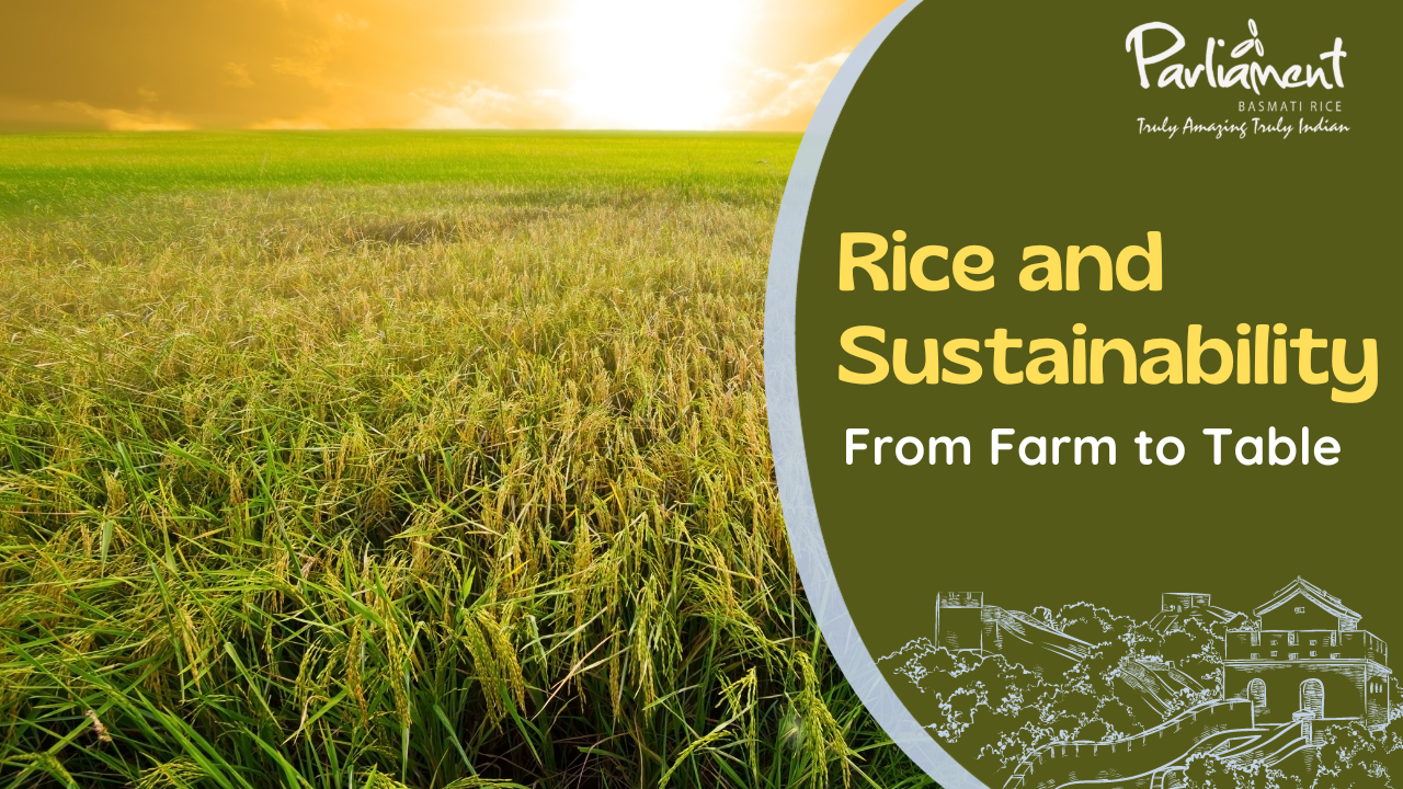 Rice and Sustainability From Farm to Table